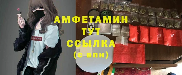ГАЛЛЮЦИНОГЕННЫЕ ГРИБЫ Балабаново
