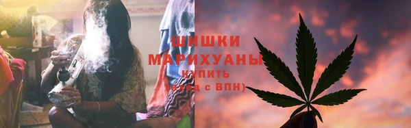 ГАЛЛЮЦИНОГЕННЫЕ ГРИБЫ Балабаново