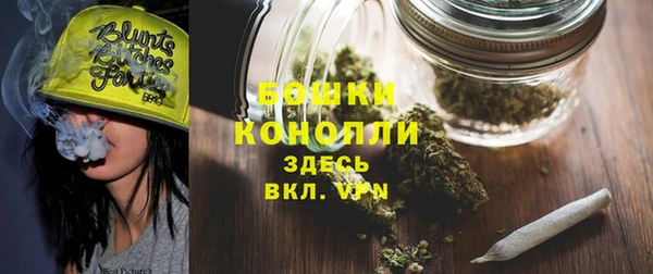 ГАЛЛЮЦИНОГЕННЫЕ ГРИБЫ Балабаново