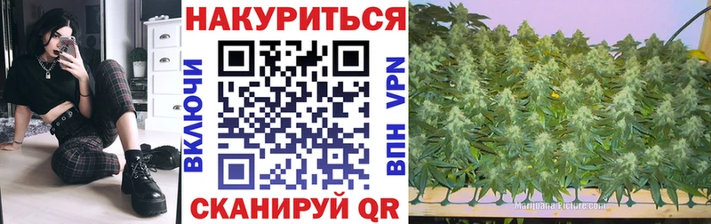 Купить  Моздок  Бошки Шишки семена 